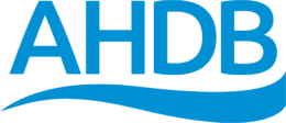 ADHB-logo