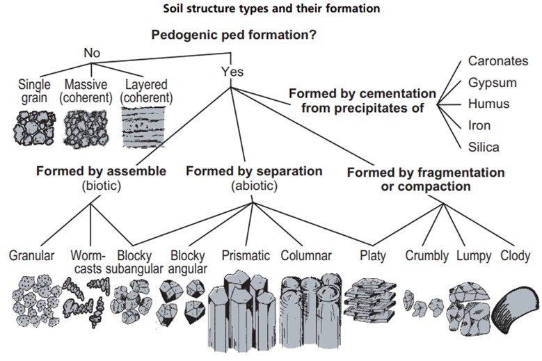 Figure 1. Typical descriptions of soil structure. (Image: David Purdy Soils)